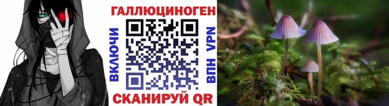 Купить закладки  Чита  Галлюциногенные грибы MAGIC MUSHROOMS 